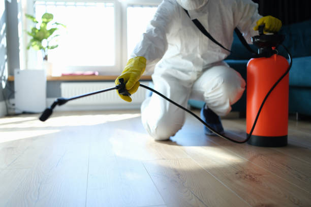 Reliable Hoarding Cleanup contractor in Summerville, SC by Trauma Clean Pros
